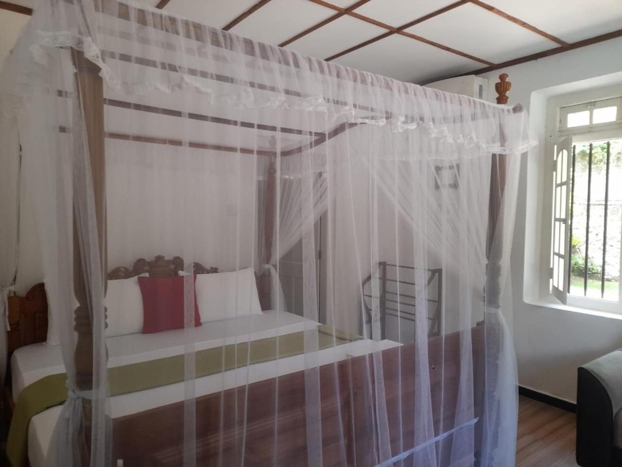 Tranquility Guest House Hikkaduwa Zewnętrze zdjęcie