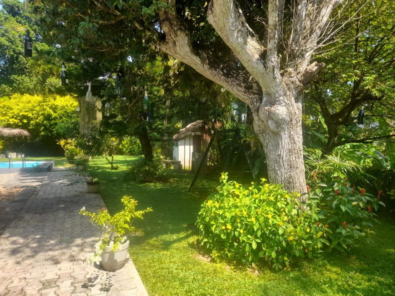 Tranquility Guest House Hikkaduwa Zewnętrze zdjęcie
