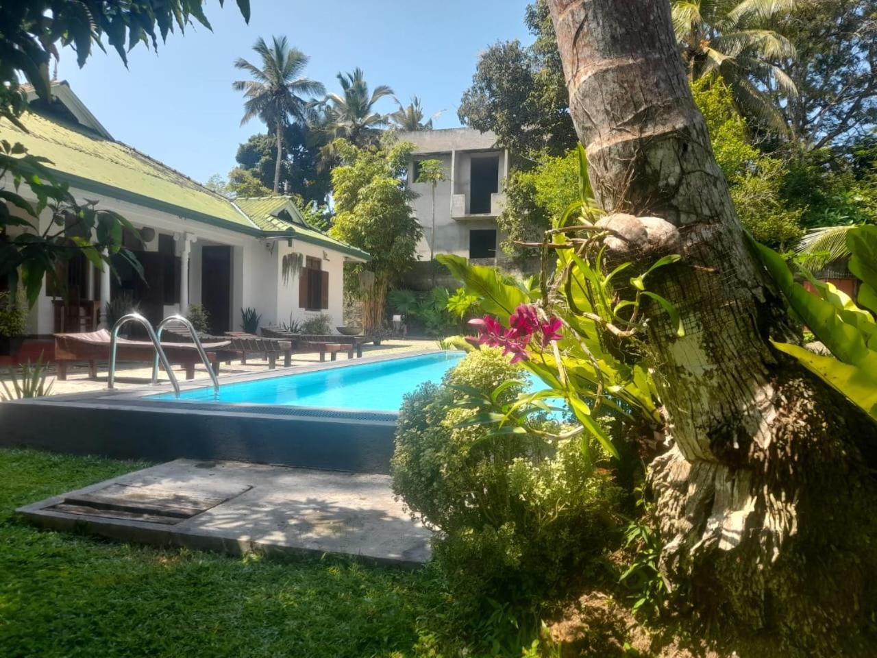 Tranquility Guest House Hikkaduwa Zewnętrze zdjęcie