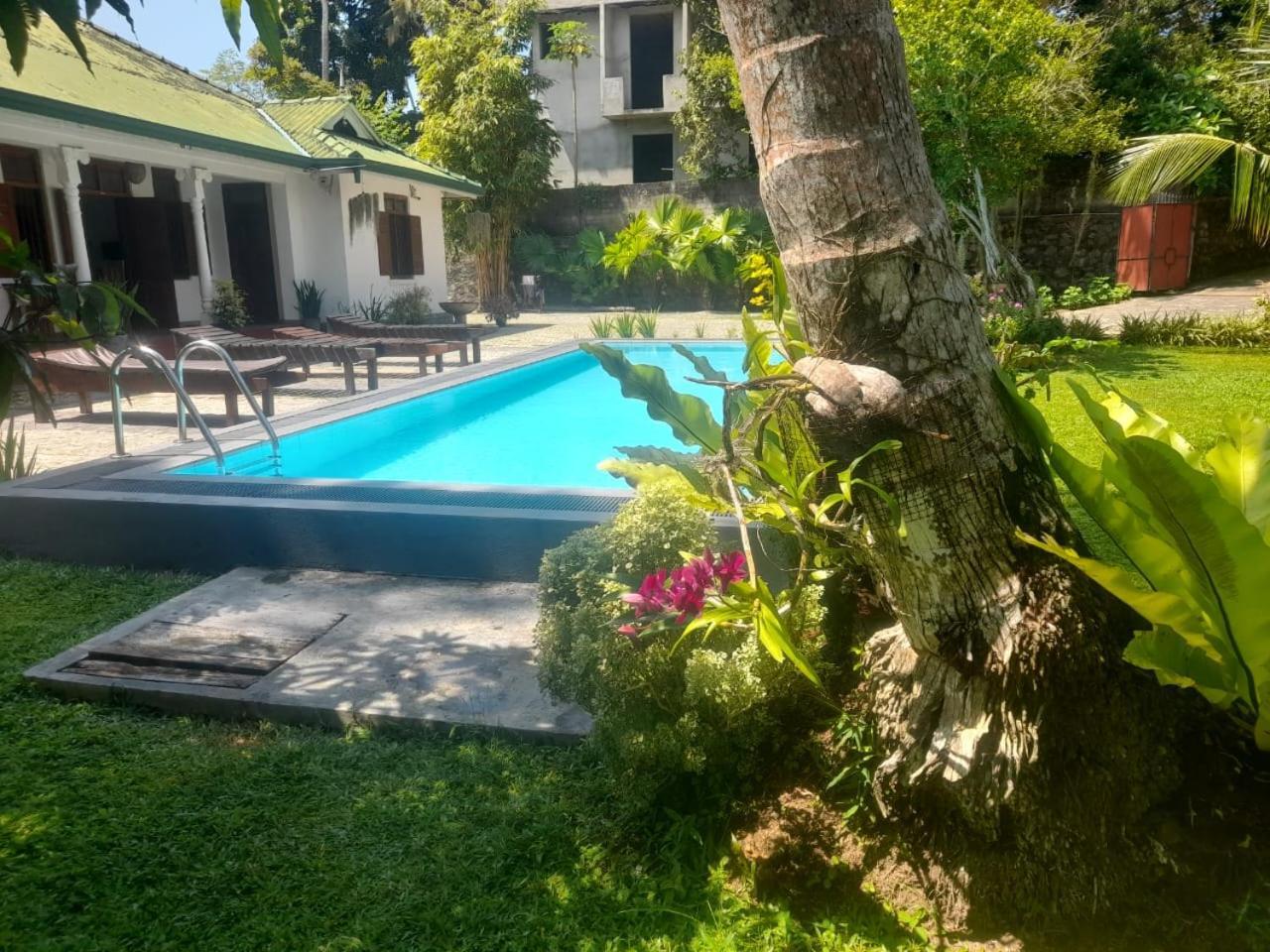 Tranquility Guest House Hikkaduwa Zewnętrze zdjęcie