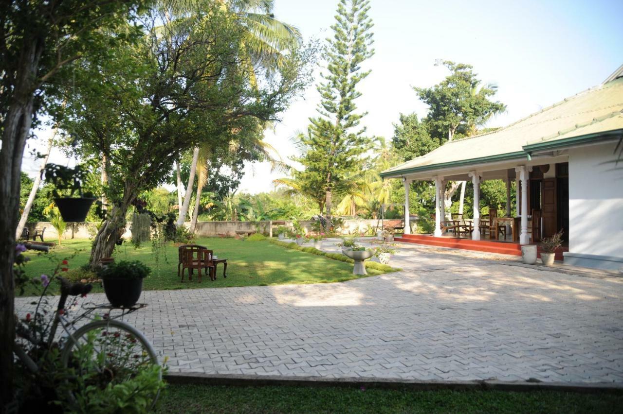 Tranquility Guest House Hikkaduwa Zewnętrze zdjęcie