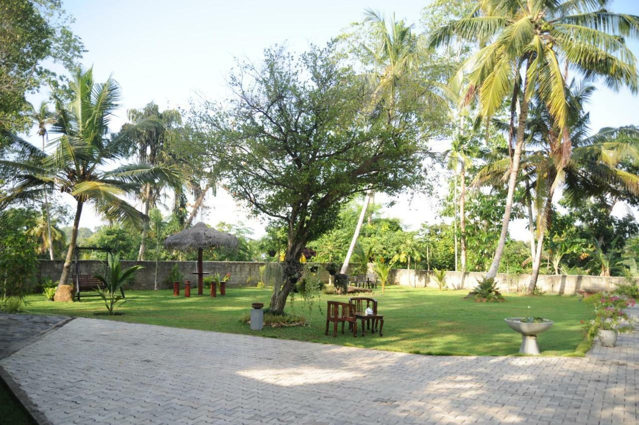 Tranquility Guest House Hikkaduwa Zewnętrze zdjęcie